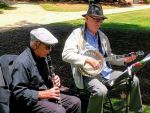 Picnic performers