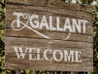 TGallant vineyard